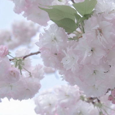 Furry插画细节灵感FurryQQ群